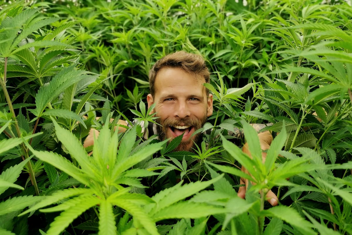 Matías Litvak , el argentino que trabaja como cultivador profesional de cannabis en Israel