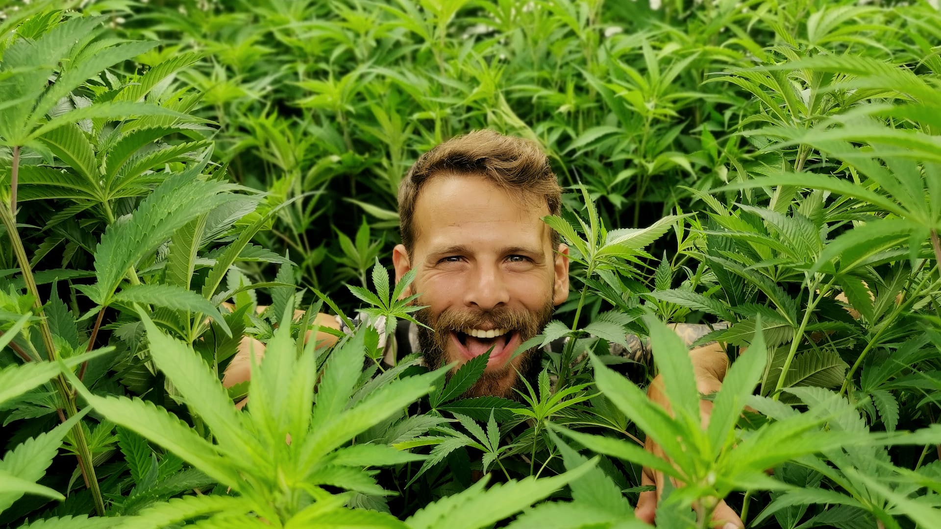 Matías Litvak , el argentino que trabaja como cultivador profesional de cannabis en Israel