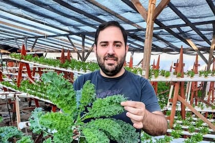 Matías Sebely cultiva con hidroponía rúcula, lechuga y otras hortalizas. Además, produce barras de cereal, dulces y otros alimentos en su "De la Finca"