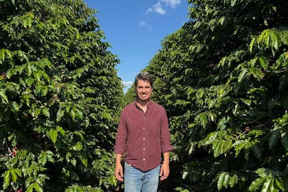 Matías Viel creó Beeflow en 2016