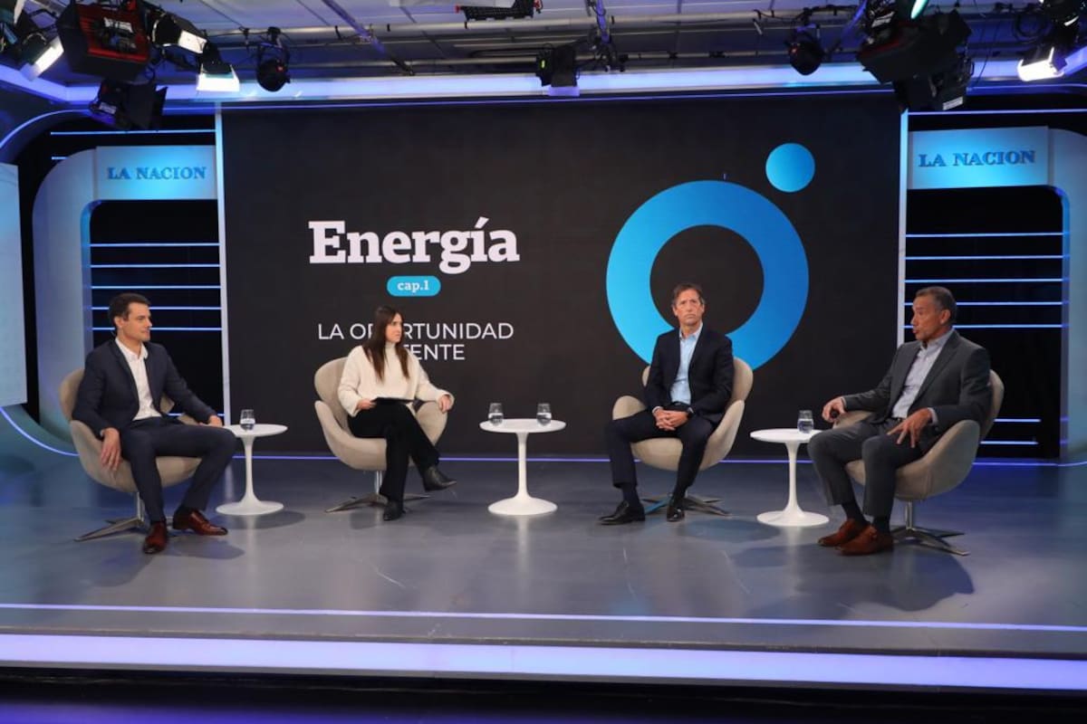 Matías Weissel, gerente de Operaciones de Vista; Sofía Diamante, periodista de LA NACION; Rodolfo Freyre, vicepresidente de Gas, Energía y desarrollo de Negocios de Pan American Energy, y Ricardo Ferreiro, presidente de Gas & Power, desarrollo de Negocios y Comercial de Tecpetrol