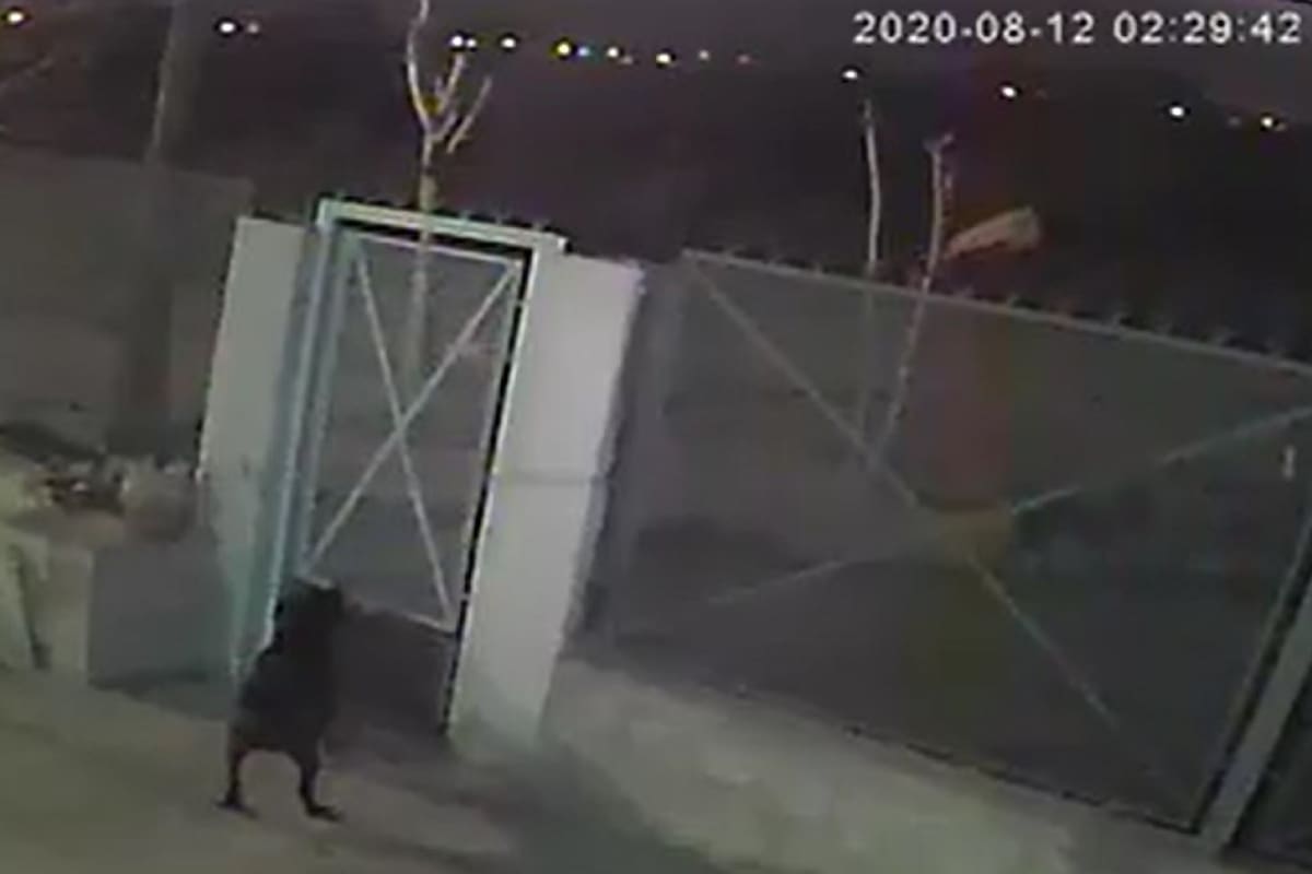 Mató a su pareja y arrojó el cadáver a una zanja, en Guernica