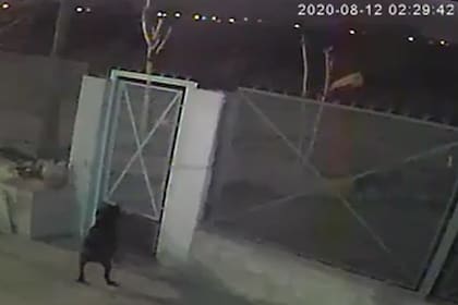 Mató a su pareja y arrojó el cadáver a una zanja, en Guernica