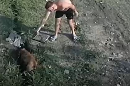 Mató al perro de los vecinos y los amenazó de muerte