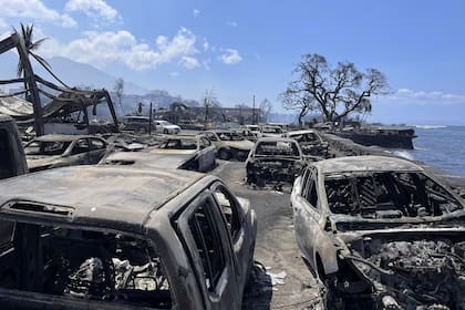 Maui, arrasada en agosto por el más mortífero de los incendios registrados en los años recientes en Estados Unidos. Estos fenómenos no solo son promovidos por el cambio climático, sino que contribuyen a empeorarlo