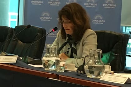 Maureen Birmingham aseguró que si bien hay gente trabajando en el desarrollo de una vacuna existe una serie de pautas que no se pueden saltar