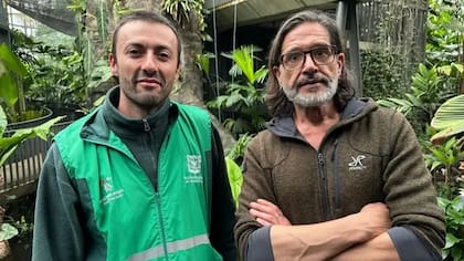 Mauricio Bernal y Carlos Magdalena siguen emocionados del descubrimiento de una planta que les apasiona