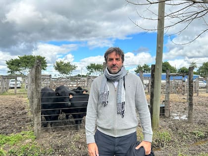 Mauricio Groppo, presidente de la Asociación Argentina de Brangus