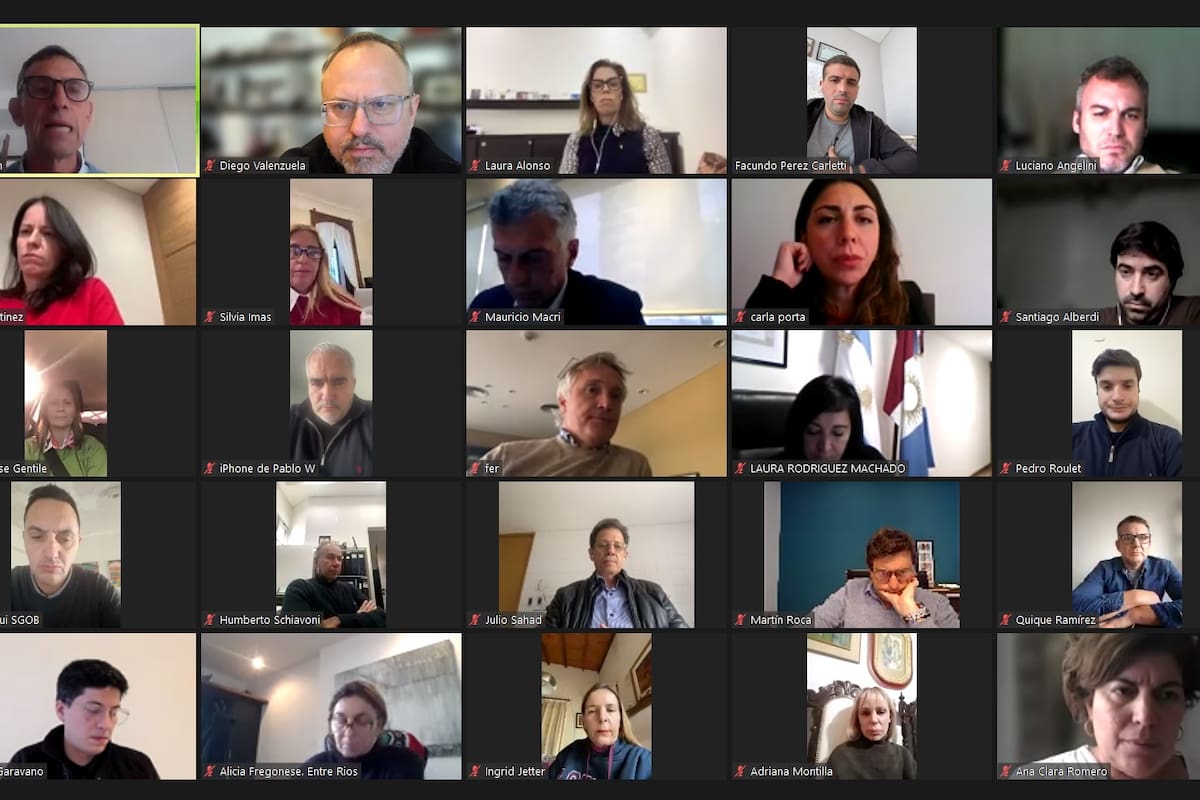 Mauricio Macri asume la presidencia de Pro por Zoom