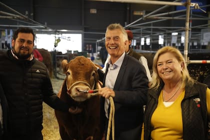 Mauricio Macri visitó la Exposición Rural de Palermo y posó con Guillermo, un toro campeón junior