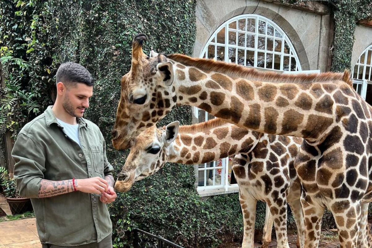 Mauro Icardi posó junto a las jirafas y sus fanáticos apuntaron a un particular detalle en las imágenes (Foto: Instagram @mauroicardi)