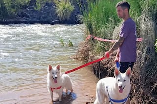 Una familia mendocina busca apoyo para costear el traslado de sus perros a España