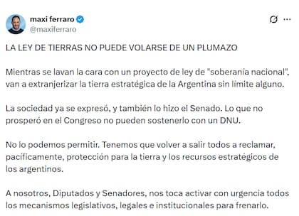 Maxi Ferraro, otra de las críticas