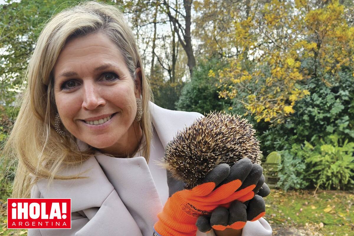 Máxima liberó los erizos en Huis Ten Bosch, La Haya, una de las cuatro residencias oficiales de los reyes de los Países Bajos. En la foto, la soberana luce un abrigo de Natan y fabulosos aros de Lott.
