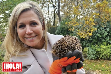 Máxima liberó los erizos en Huis Ten Bosch, La Haya, una de las cuatro residencias oficiales de los reyes de los Países Bajos. En la foto, la soberana luce un abrigo de Natan y fabulosos aros de Lott.