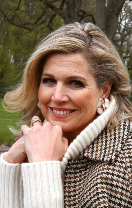 Máxima Zorreguieta deslumbró con su look