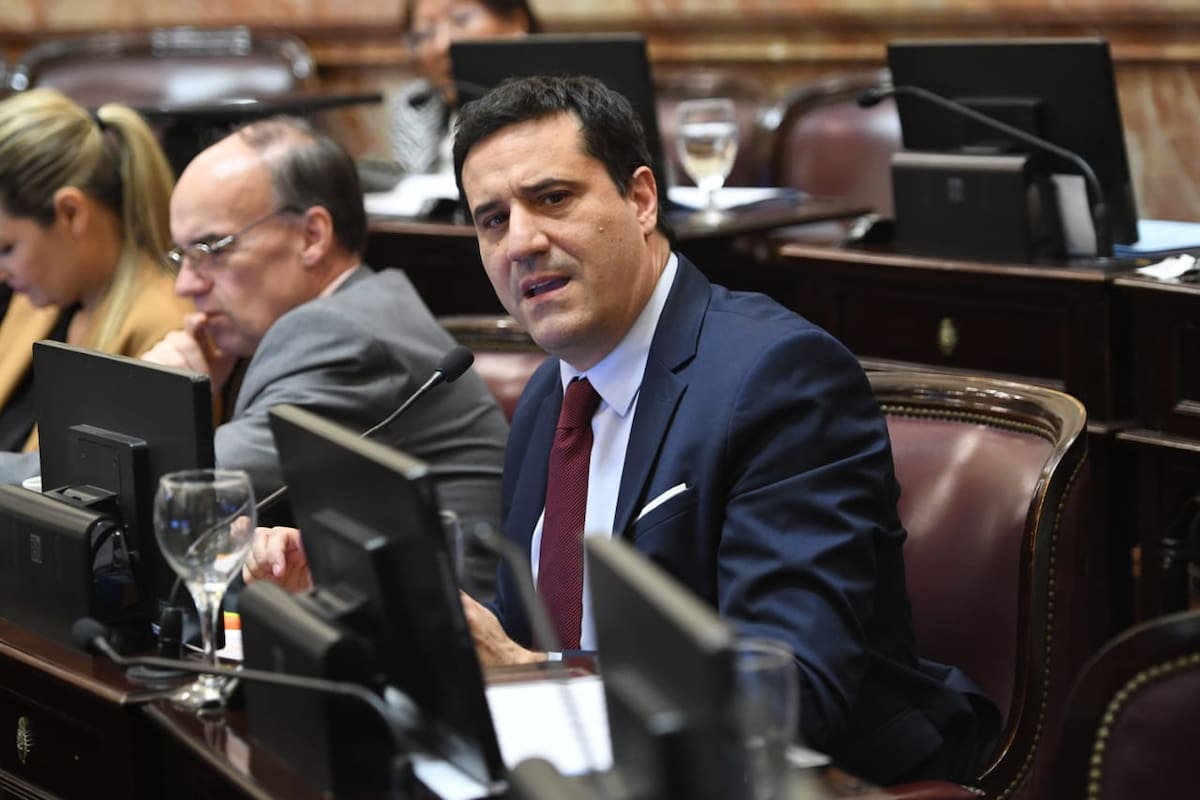 Maximiliano Abad, senador del radicalismo bonaerense