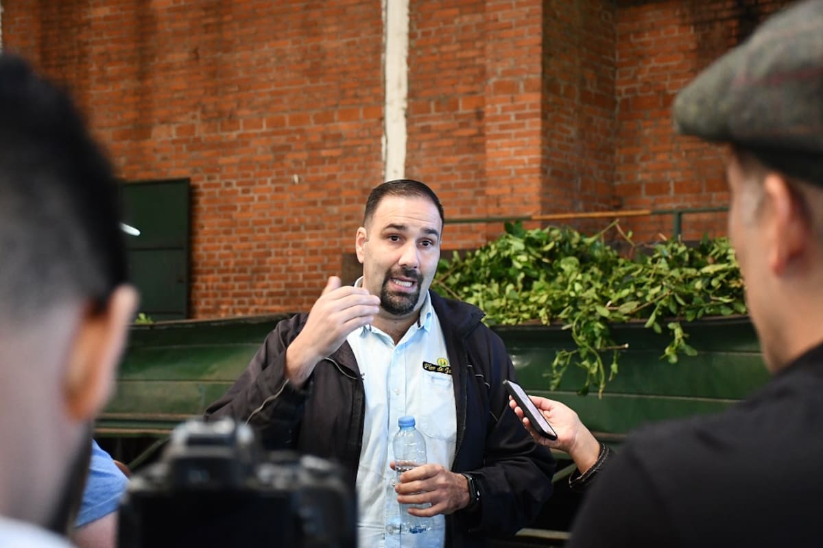 Maximiliano Cunale, gerente general. Foto: Martín Ghisio (INTA)