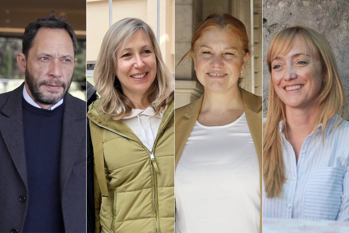 Maximiliano Ferraro, Myriam Bregman, Karina Banfi y Anabel Fernández Sagasti salieron al cruce de los ataques de Milei a los homosexuales