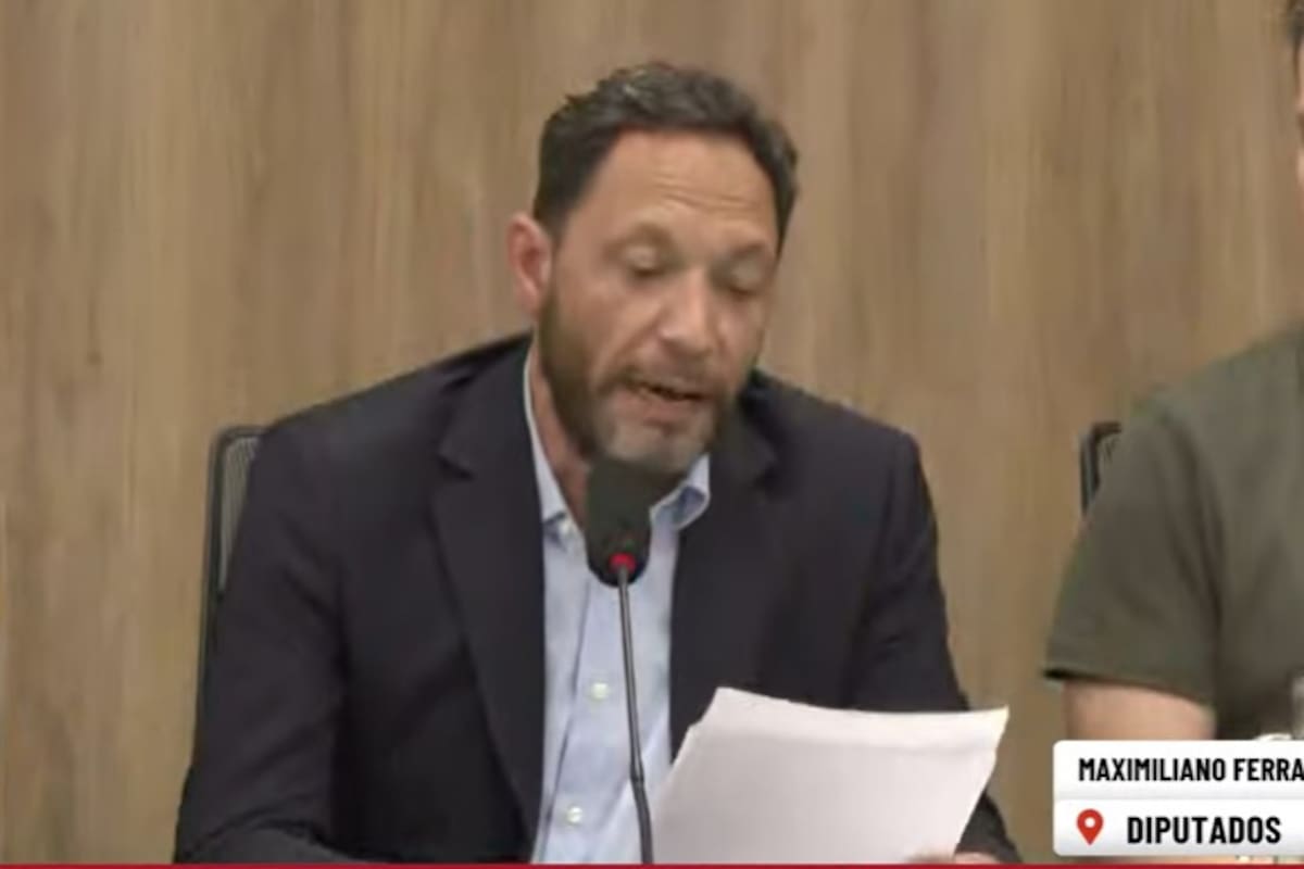 Maximiliano Ferraro, presidente de la comisión Libra