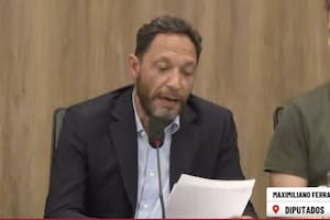 Maximiliano Ferraro, presidente de la comisión Libra
