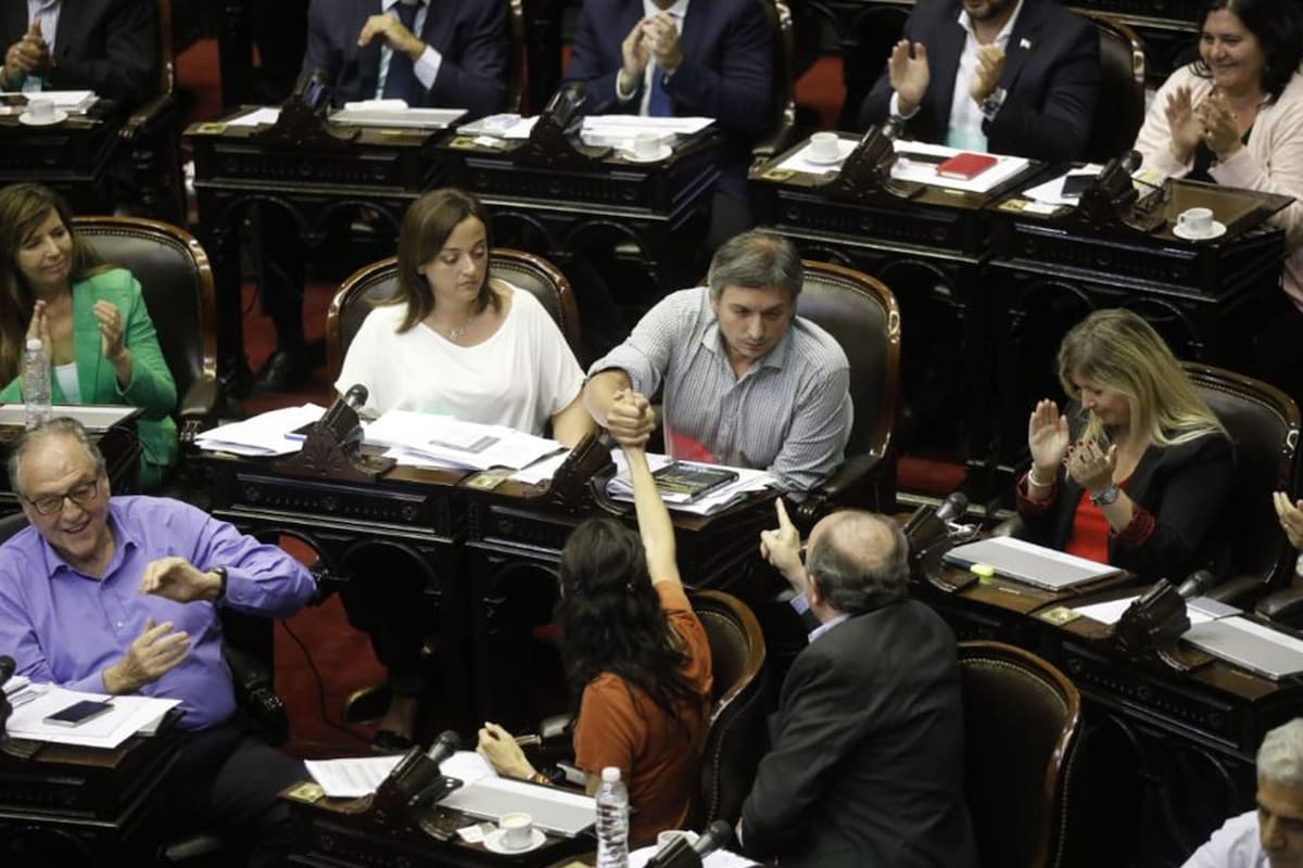 Máximo Kirchner durante la sesión de hoy