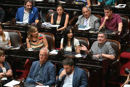 Máximo Kirchner fue uno de los impulsores de la moratoria