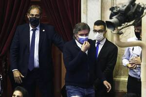 Máximo Kirchner recién ingreso a las 3.30 al recinto de Diputados