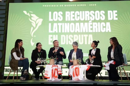 Máximo Kirchner volvió a criticar el RIGI