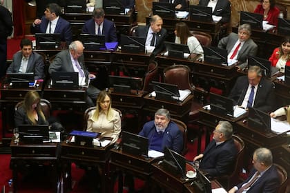Mayans y los senadores peronistas, divididos en dos bancadas