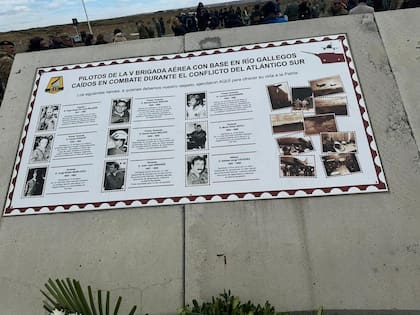 Mayólica en recuerdo de los nueve halcones caídos durante la Guerra de Malvinas, en 1982. (Gentileza Marcelo Moroni).