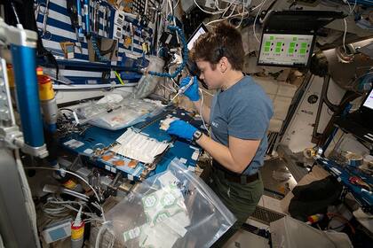 McClain sí revisó la cuenta bancaria con la contraseña de su exesposa, pero los investigadores comprobaron que tenía permiso para hacerlo (Wikimedia Commons/NASA)