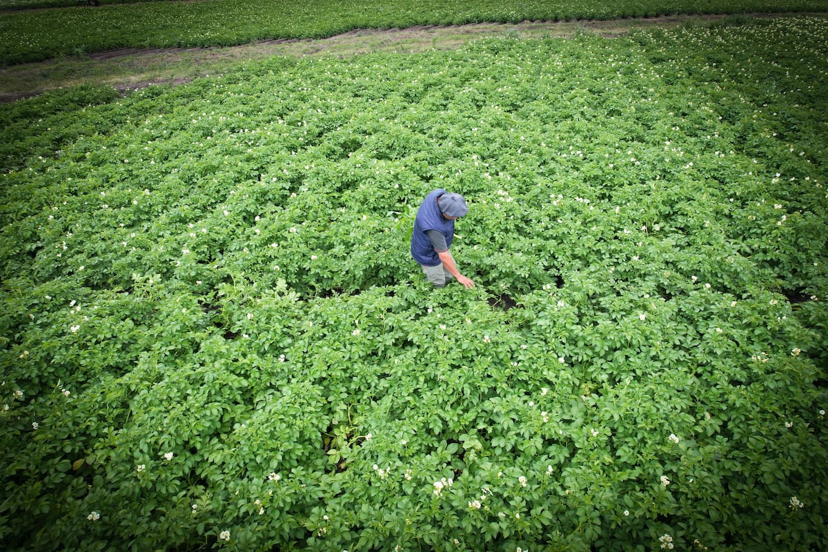 McDonald's refuerza su compromiso con las economías regionales y productores locales, apostando a la industria nacional.
