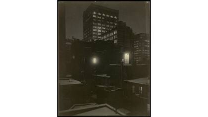 "From the back window - 291"