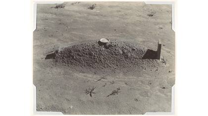 "Grave"
