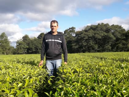 “Me crie prácticamente en la chacra de mi abuelo, con mis tíos, siempre trabajando en estas dos actividades, algo de forestación y algo de ganadería, pero a menor escala”, recordó
