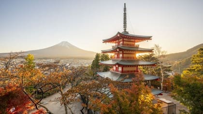 "Me he acostumbrado a cómo es Japón y he llegado a aceptar el hecho de que no está a punto de cambiar".