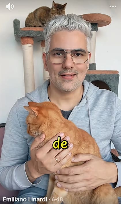 Mediante su cuenta de TIkTok, el especialista reveló a qué se debe esta acción felina (Foto: Captura TikTok)