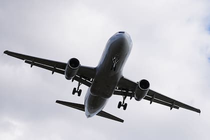 Médicos en Miami advirtieron a organismos internacionales que suspendan los vuelos a un país latino