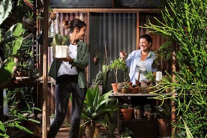 Meena y Cecilia, las dueñas de Compañía Botánica