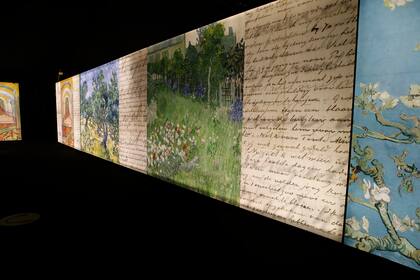 "Meet Vicent Van Gogh" es la muestra oficial del Museo de Ámsterdam.