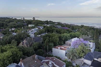 Mejor, imposible. Un jacarandá en el jardín y el río, a metros.