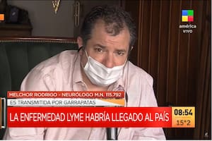 Melchor Rodrigo, el neurólogo que murió en el departamento de Felipe Pettinato (Foto: Captura de video)