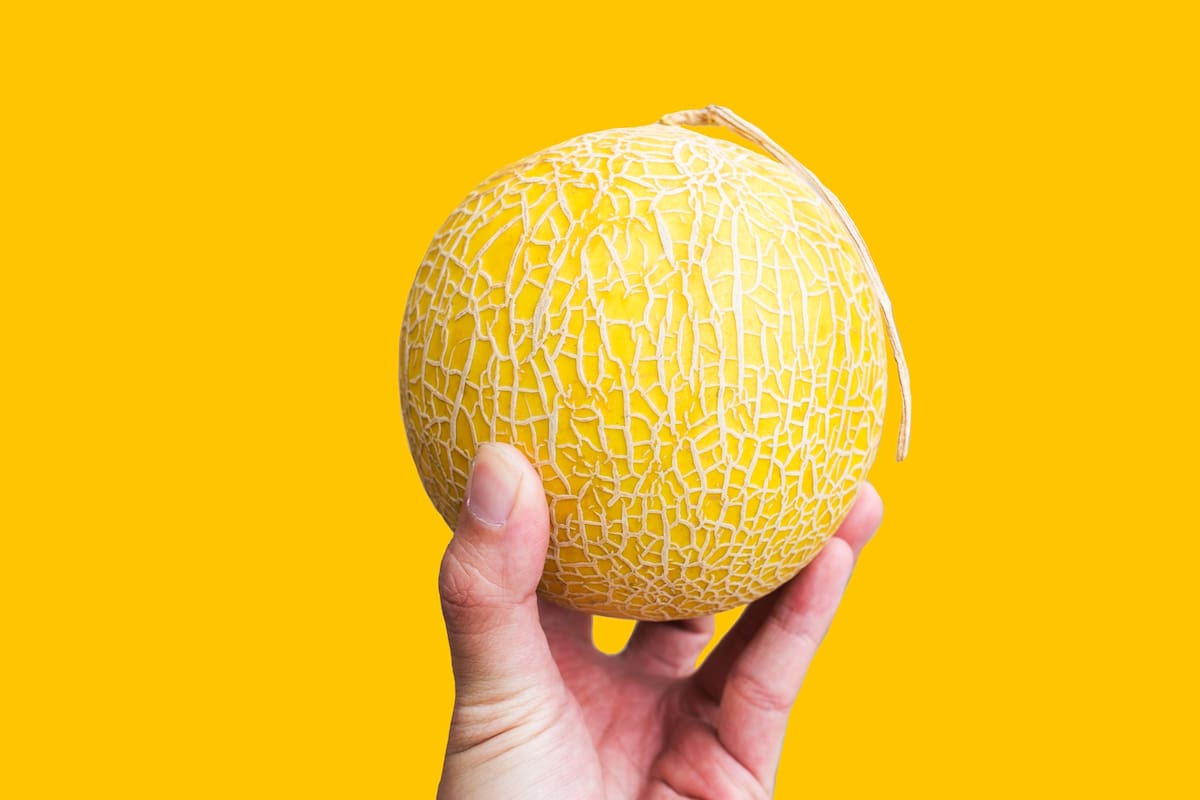 Melón cantalupo