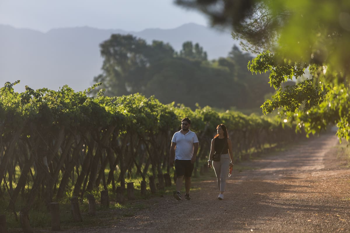 MendoExit: ¿Mendoza se quiere independizar?