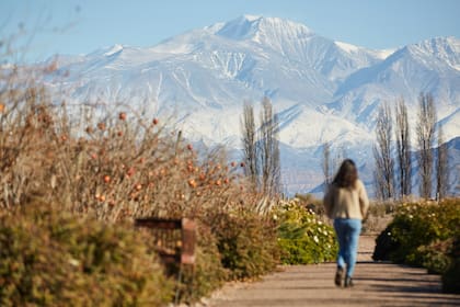 Mendoza