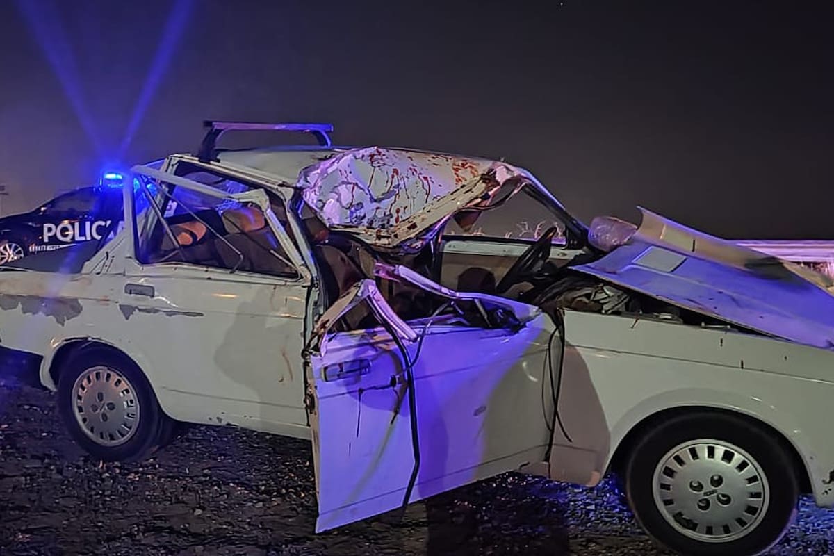 Mendoza: chocaron contra dos caballos sueltos en una ruta y una niña de 4 años falleció