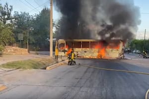 Mendoza: chocaron un camión y un micro en el que viajaban más de 40 niños