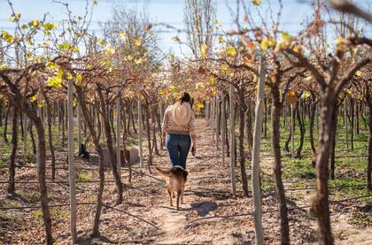 Mendoza es un lugar perfecto para que los piscianos inicien un nuevo período tras cumplir años
