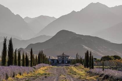 Mendoza este domingo tendrá elecciones Primarias, Abiertas, Simultáneas y Obligatorias (PASO)